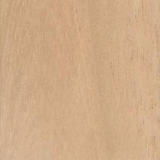 (IN STOCK) SPANISH CEDAR PLYWOOD SHEETS (IN STOCK)  4' x 8' x 1/4" for Wall & Ceilings in WALK-IN Humidor  